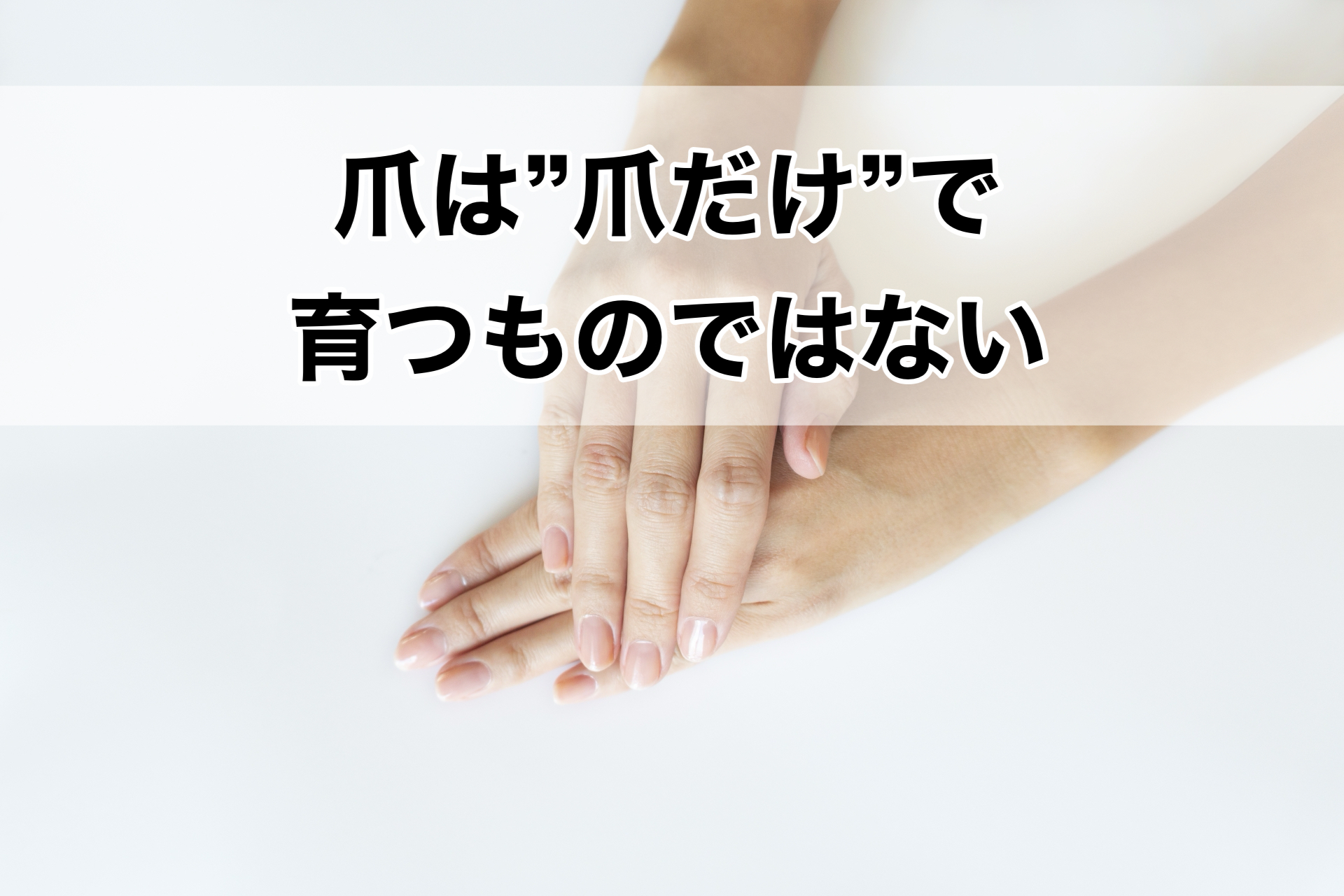 爪は“爪だけ”で育つものではない